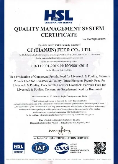 Certificate 01